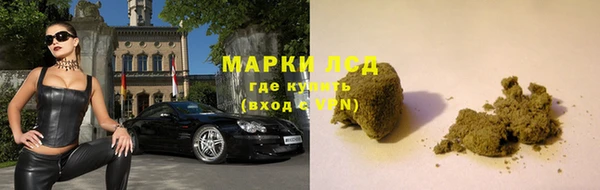гашик Арсеньев