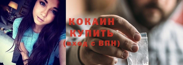 гашик Арсеньев